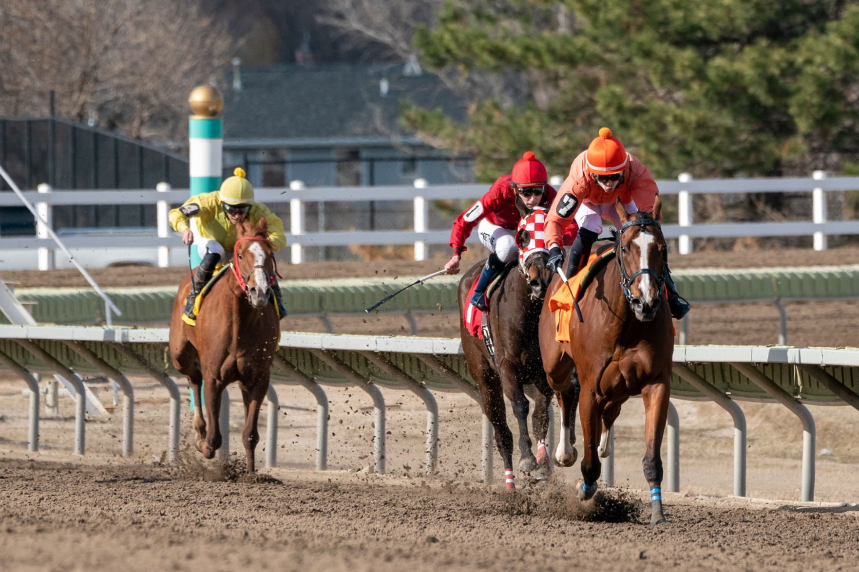 04202020_Fonner_Park_65th_Special_Stakes_EC_021.jpg